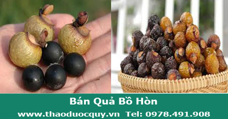 quả bồ hòn